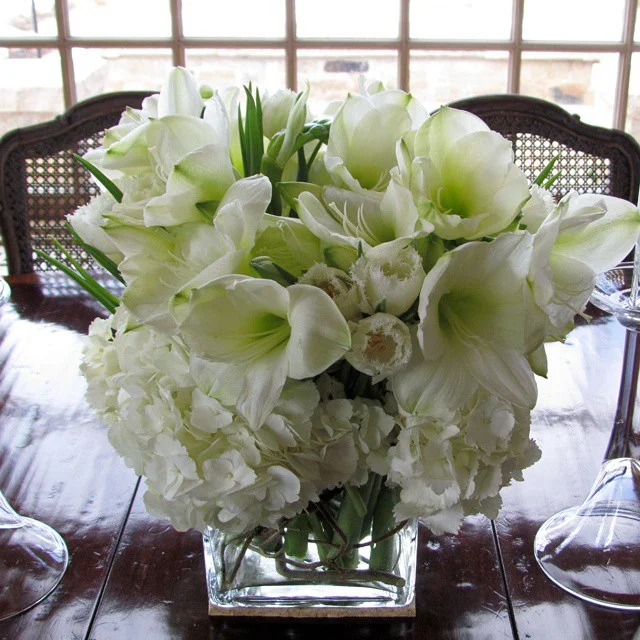 #129 Beautiful Whites !