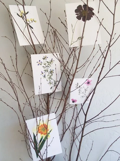 #147 Beautiful pressed flower Note cards !
