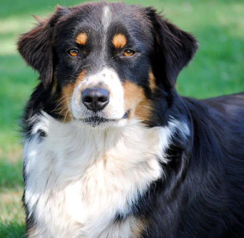 Lucy102214.jpg