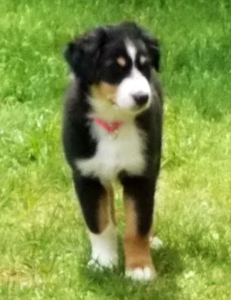 Lucy050714.jpg