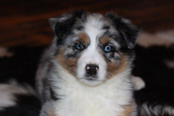 Beautiful Blu / Jenny blue girl living in the BIG SKY COUNTRY of Montana
