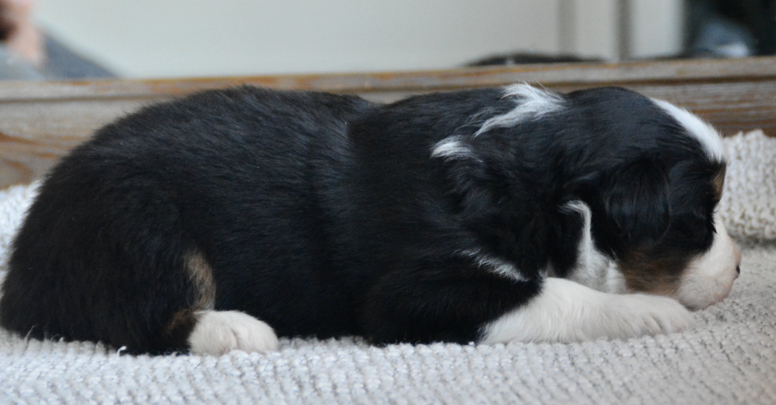 DSC_0042.jpeg