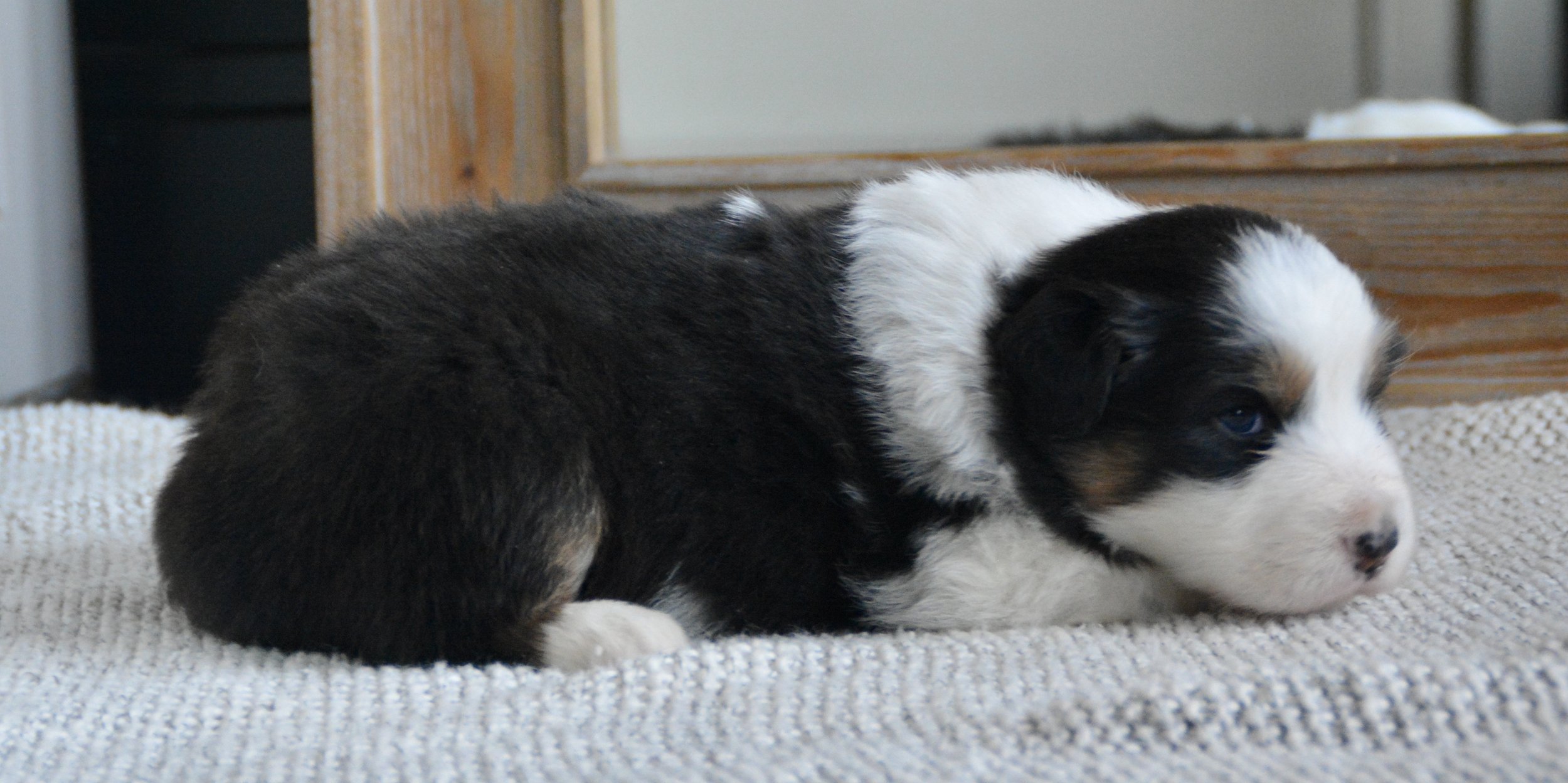 DSC_0111.jpeg
