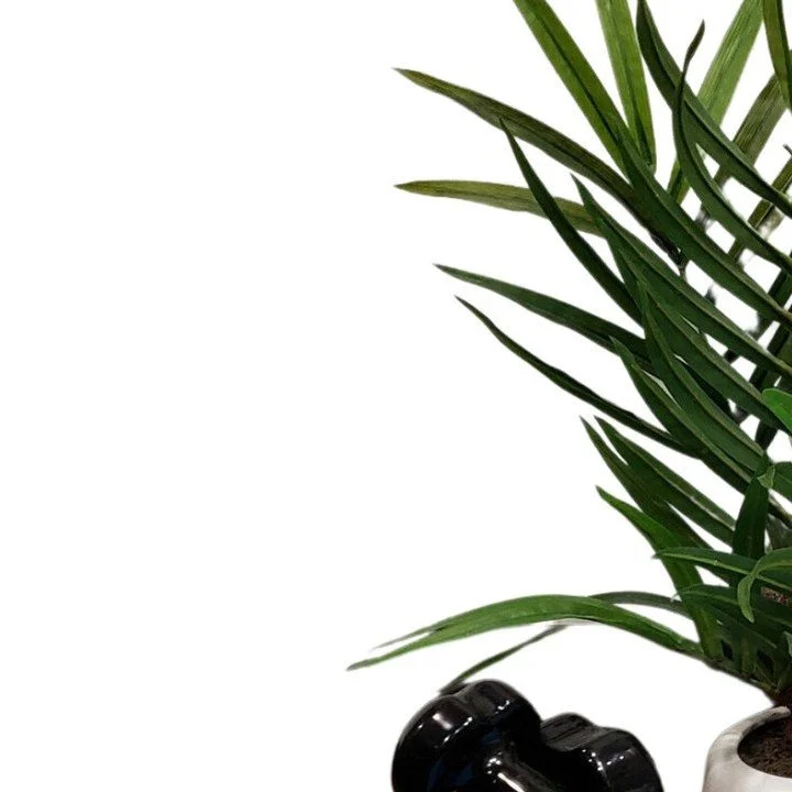 The Wave is a mobile platform, perfect for in home or office exercises! Virtual Training is available with every Wave purchase. 

Follow along with whole body vibration expert trainers with a range of videos from advanced to beginner. 

Learn how you