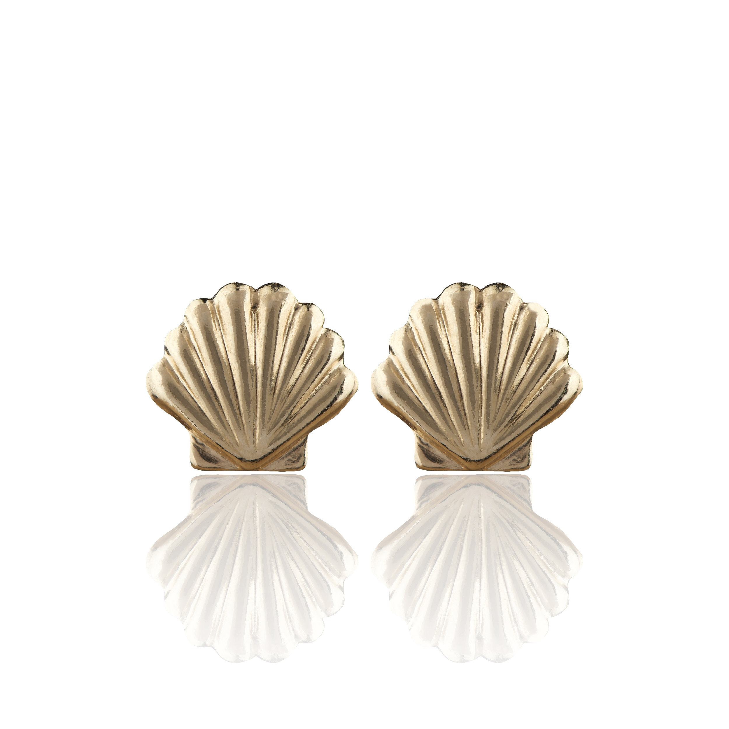 sea shell stud earrings