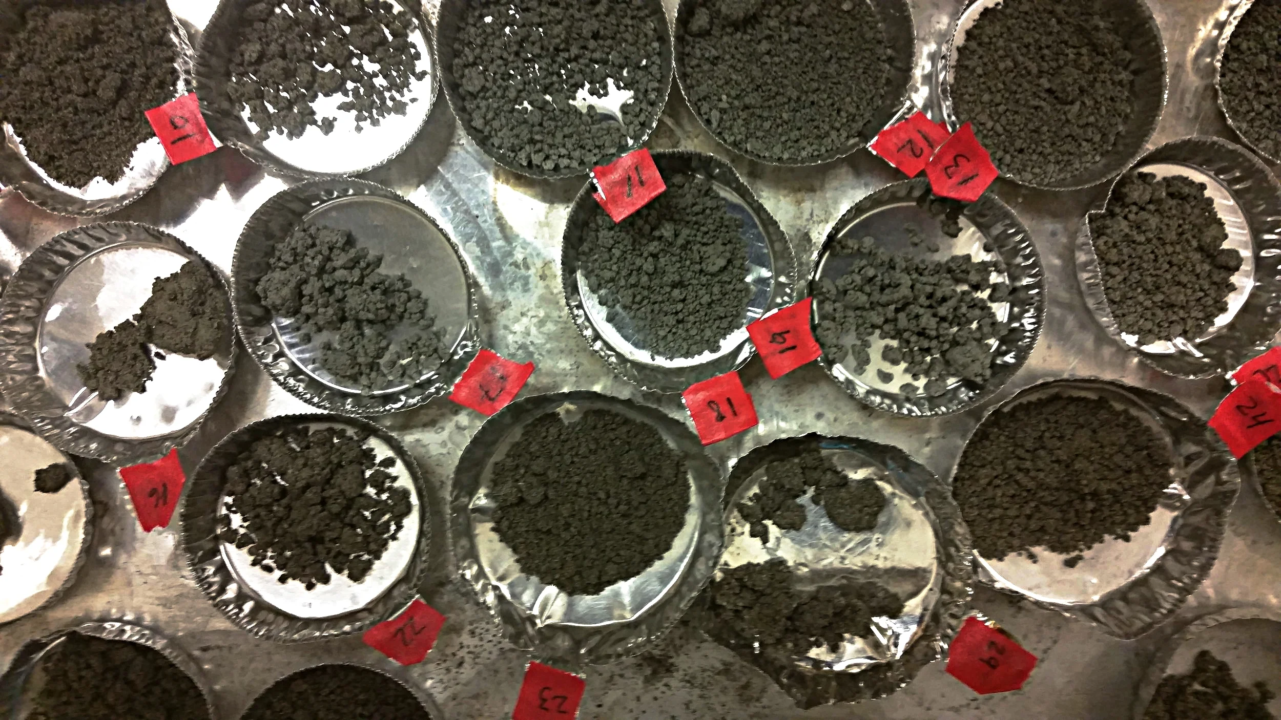 Living.Soil.Lab