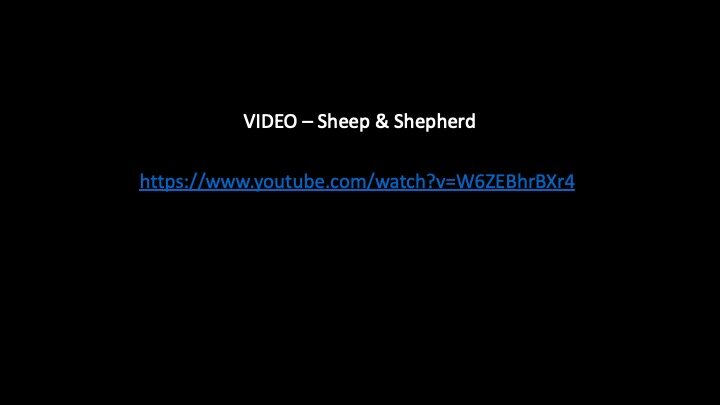 Slide14.jpeg
