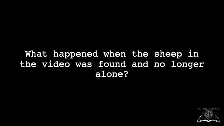 Slide9.jpeg