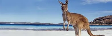 Australia 2018 Summer Bible Conference at Sydney