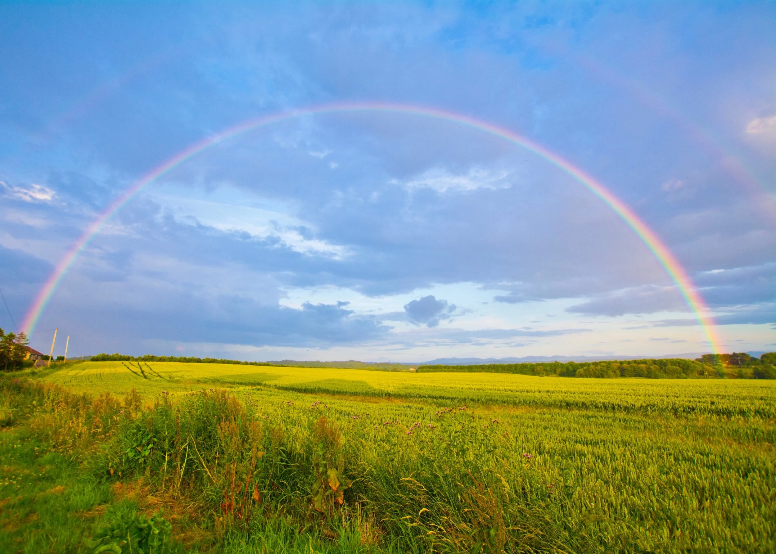 Genesis 9:13-15 (Mark Hong)