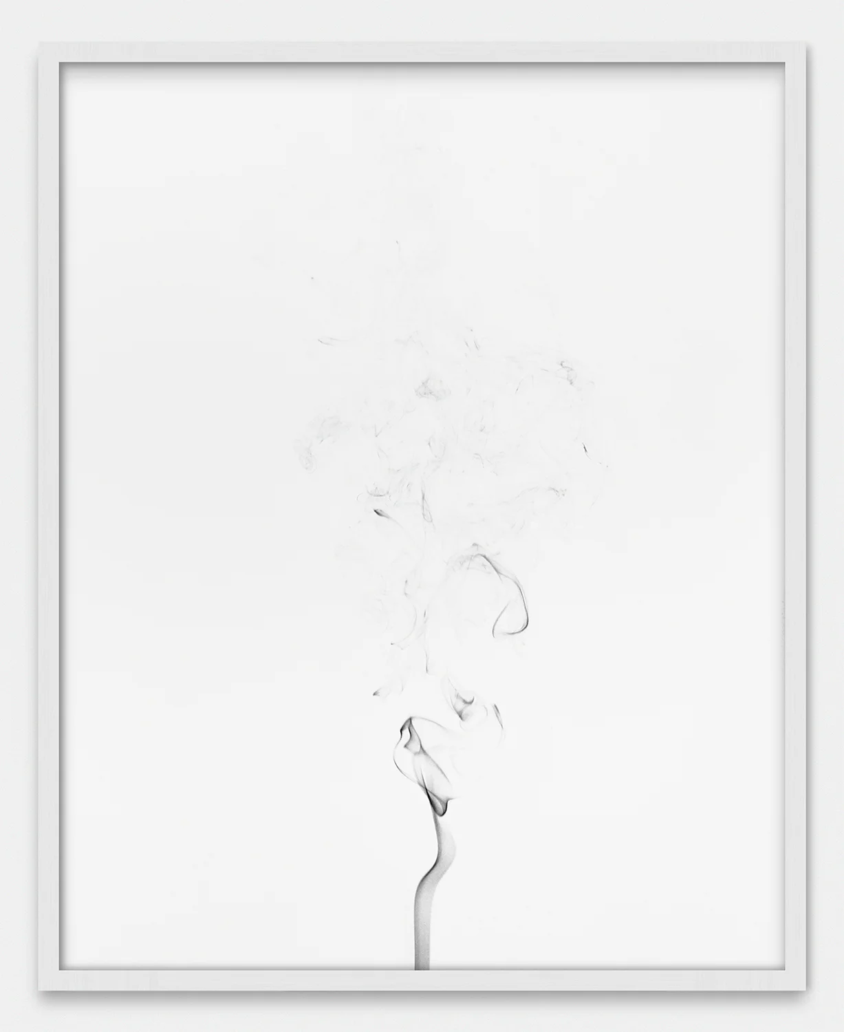 "Photograph of White Smoke" C-print in artist frame 20 in. x 30 in.