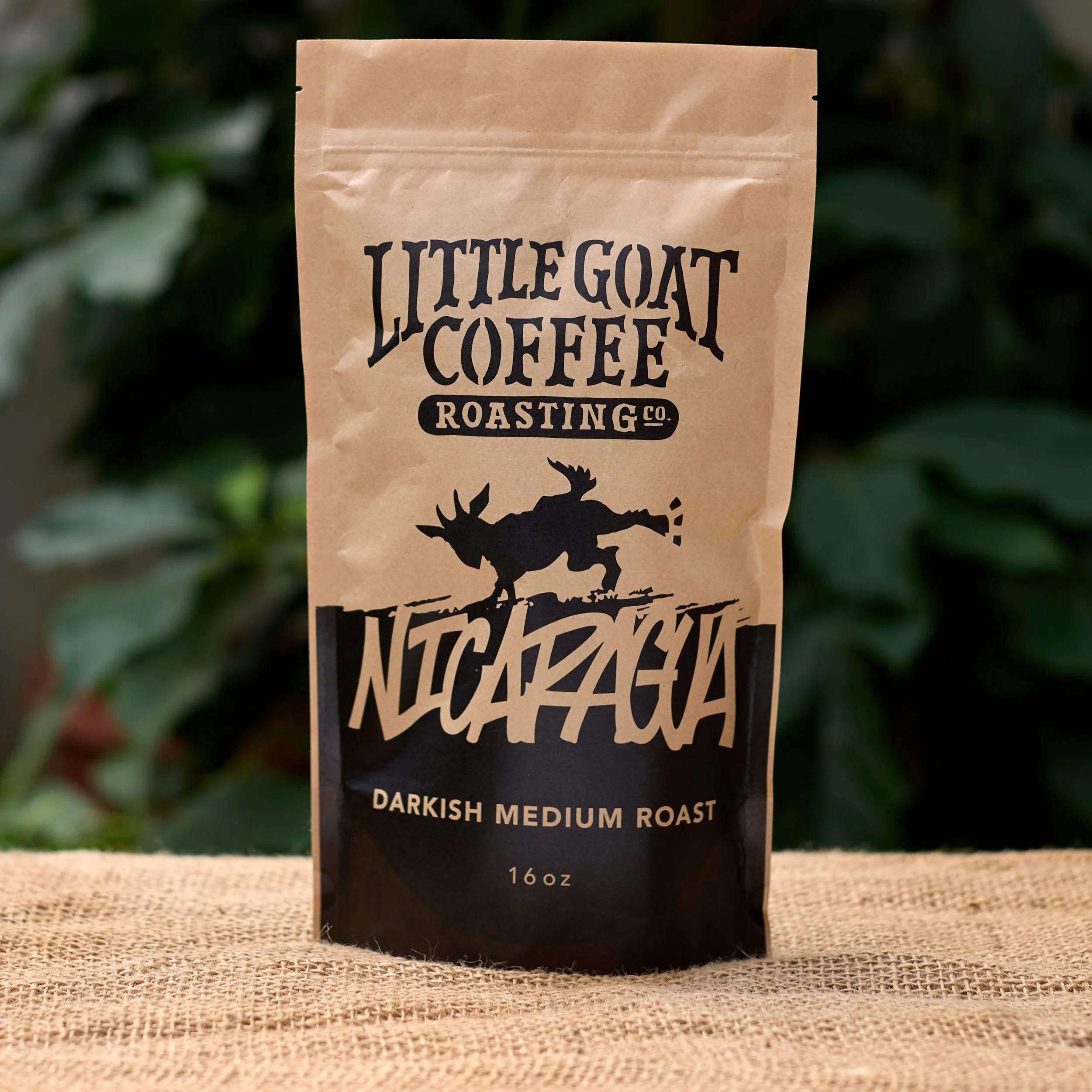 LITTLE GOAT_NICARAGUA_SQUARE.jpg