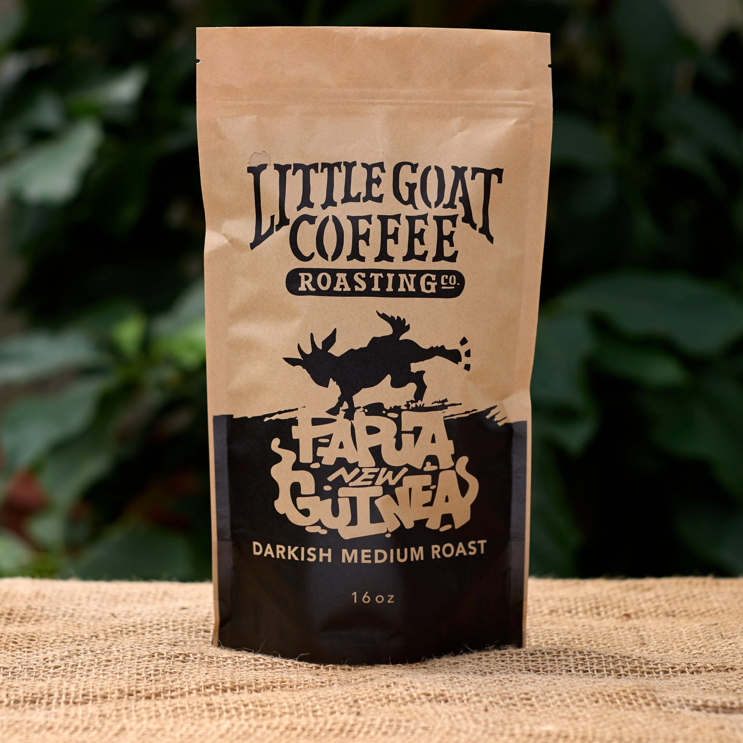 LITTLE GOAT_PAPAU NEW GUINEA_SQUARE.jpg