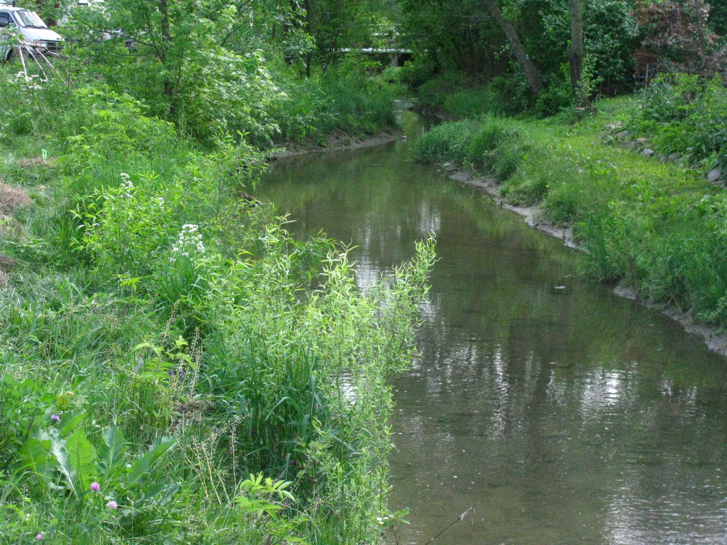 IMG_7668.JPG