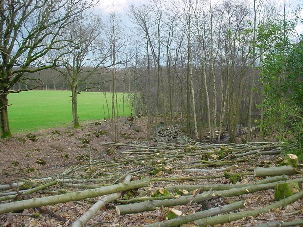 22 - poles left to be producted.JPG