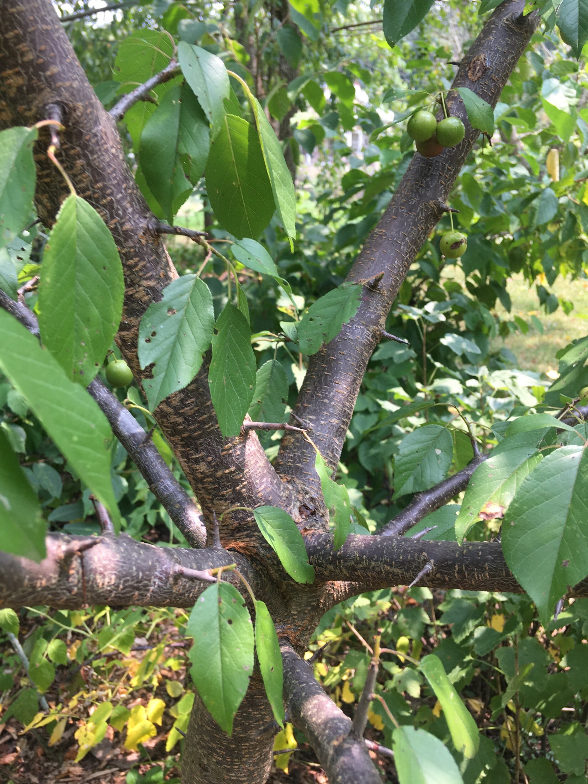 7D1F1D73-ED58-4BC2-9096-3A21844E1AE2