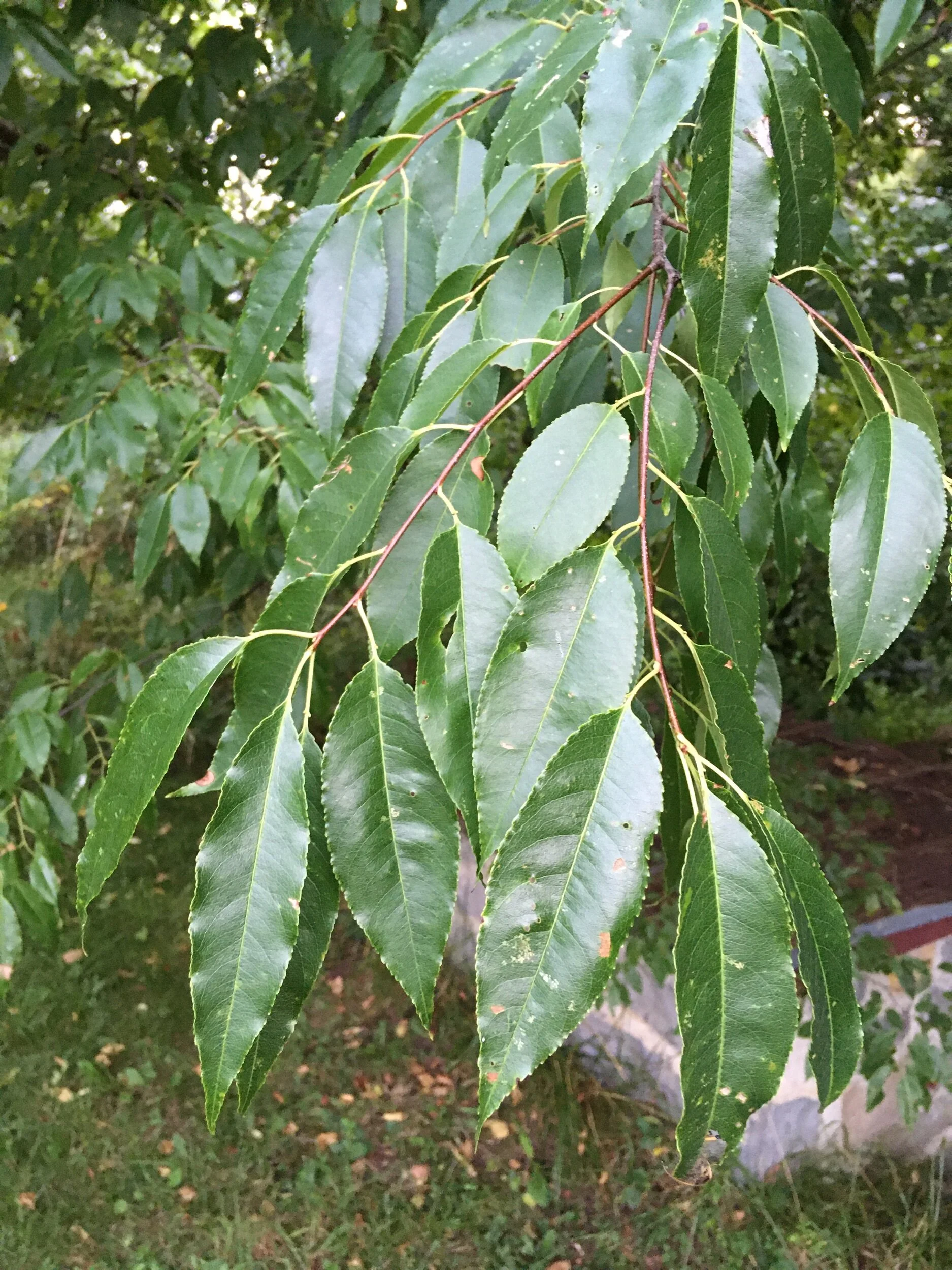 A181400B-81E3-491C-9F91-EABF5C6D6807