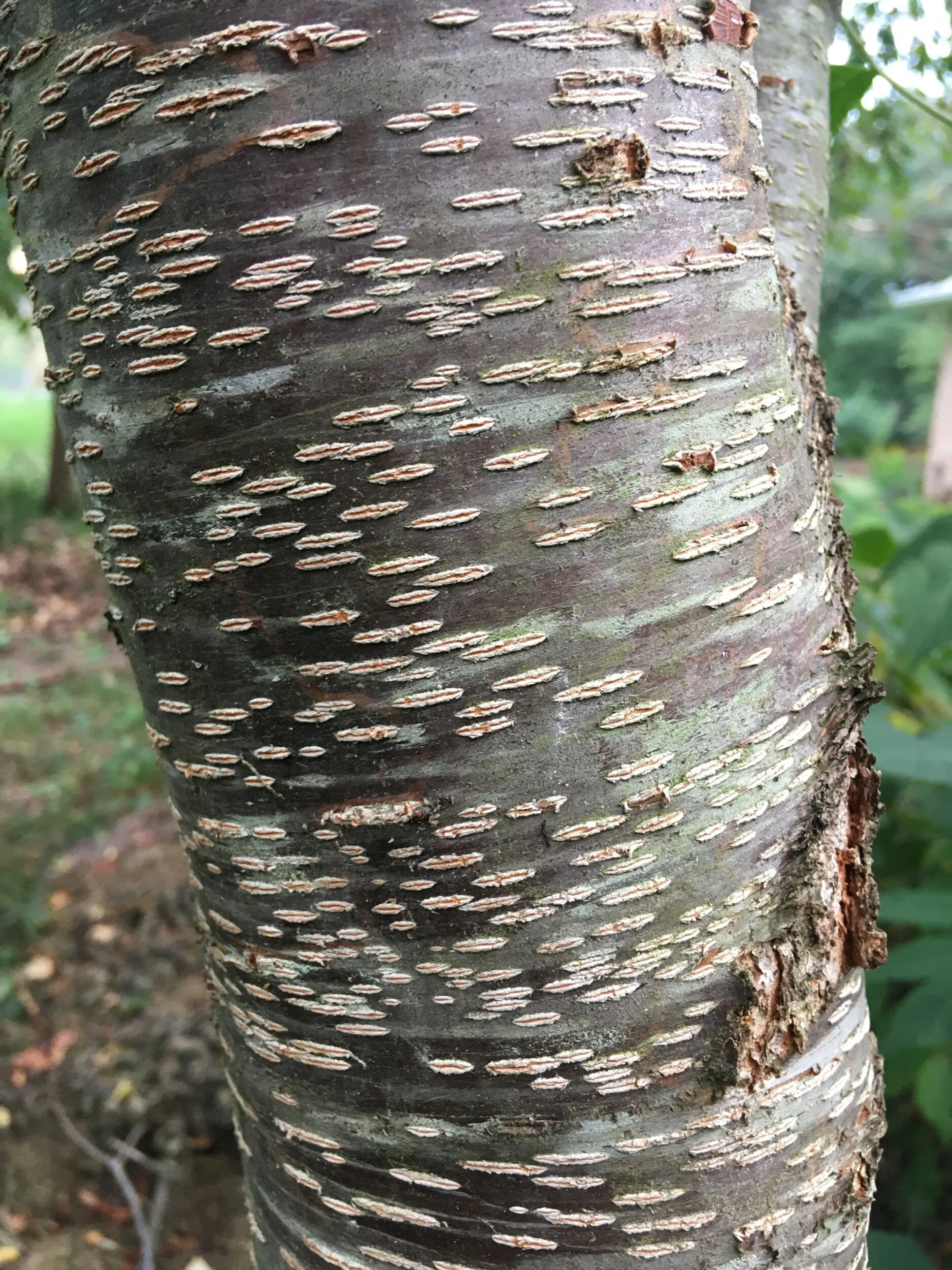 164C49C0-F6FC-4F6A-A60F-40DC26C9F7E0