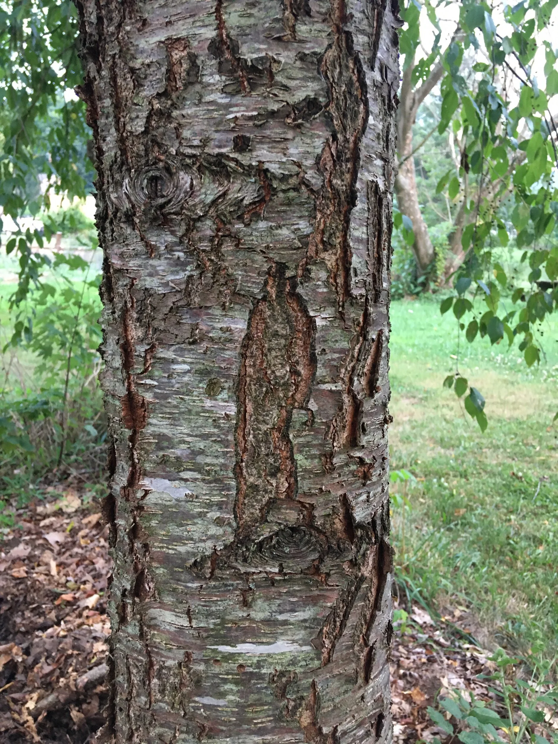 5FE65B93-FA09-468A-8C73-0E98709B6F11