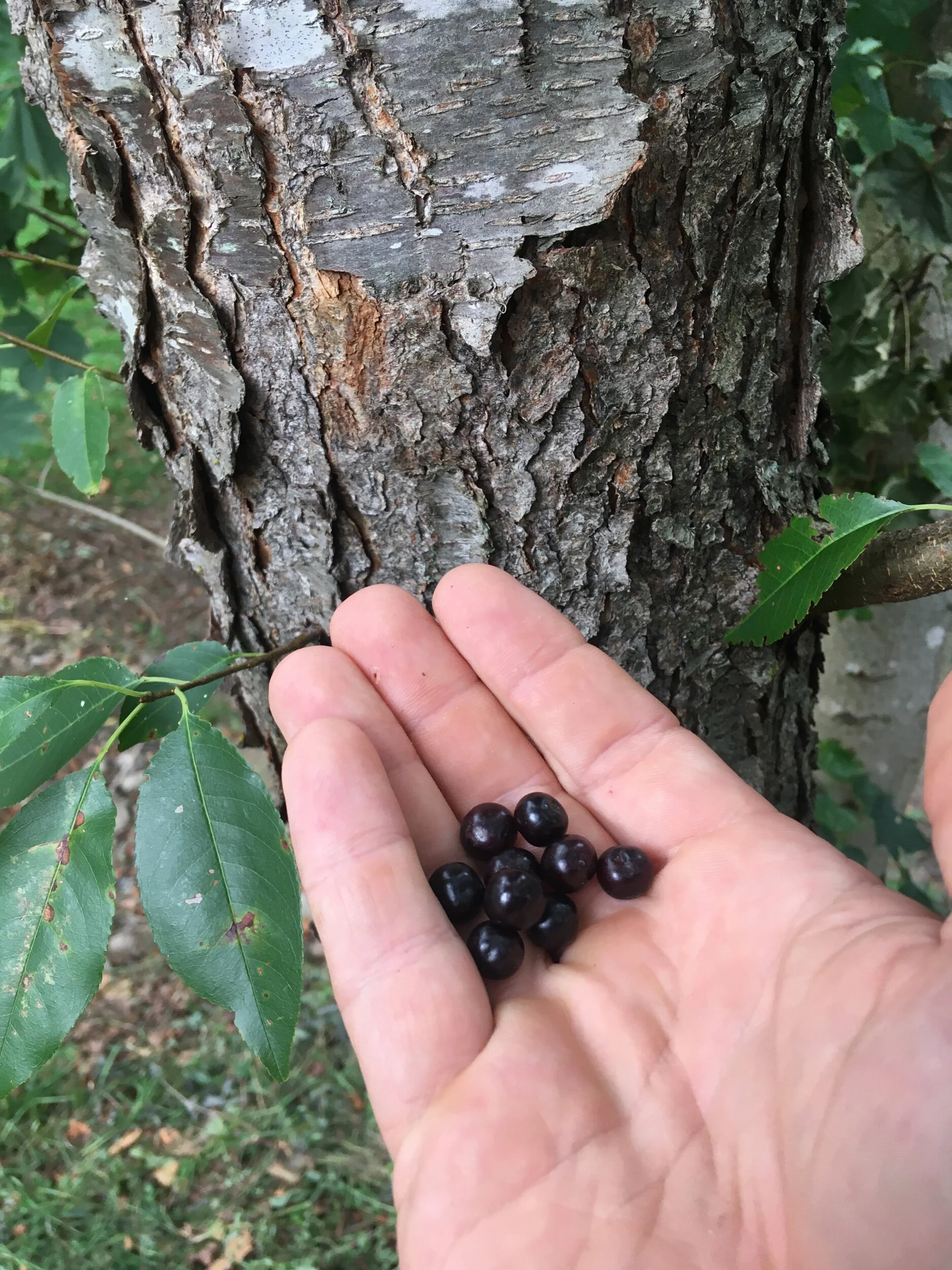 57BA5C30-12C7-48A0-99DE-6E946E3C3B22