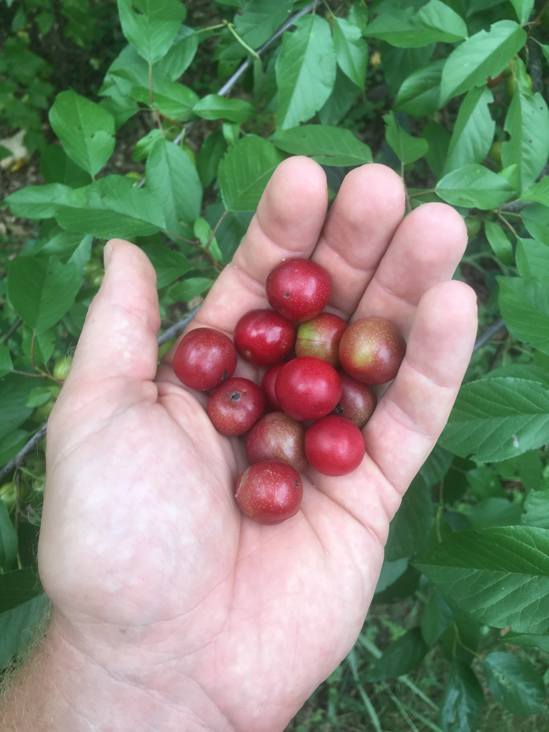 3AC67C38-52BC-46B5-9C02-CB63AD45A988