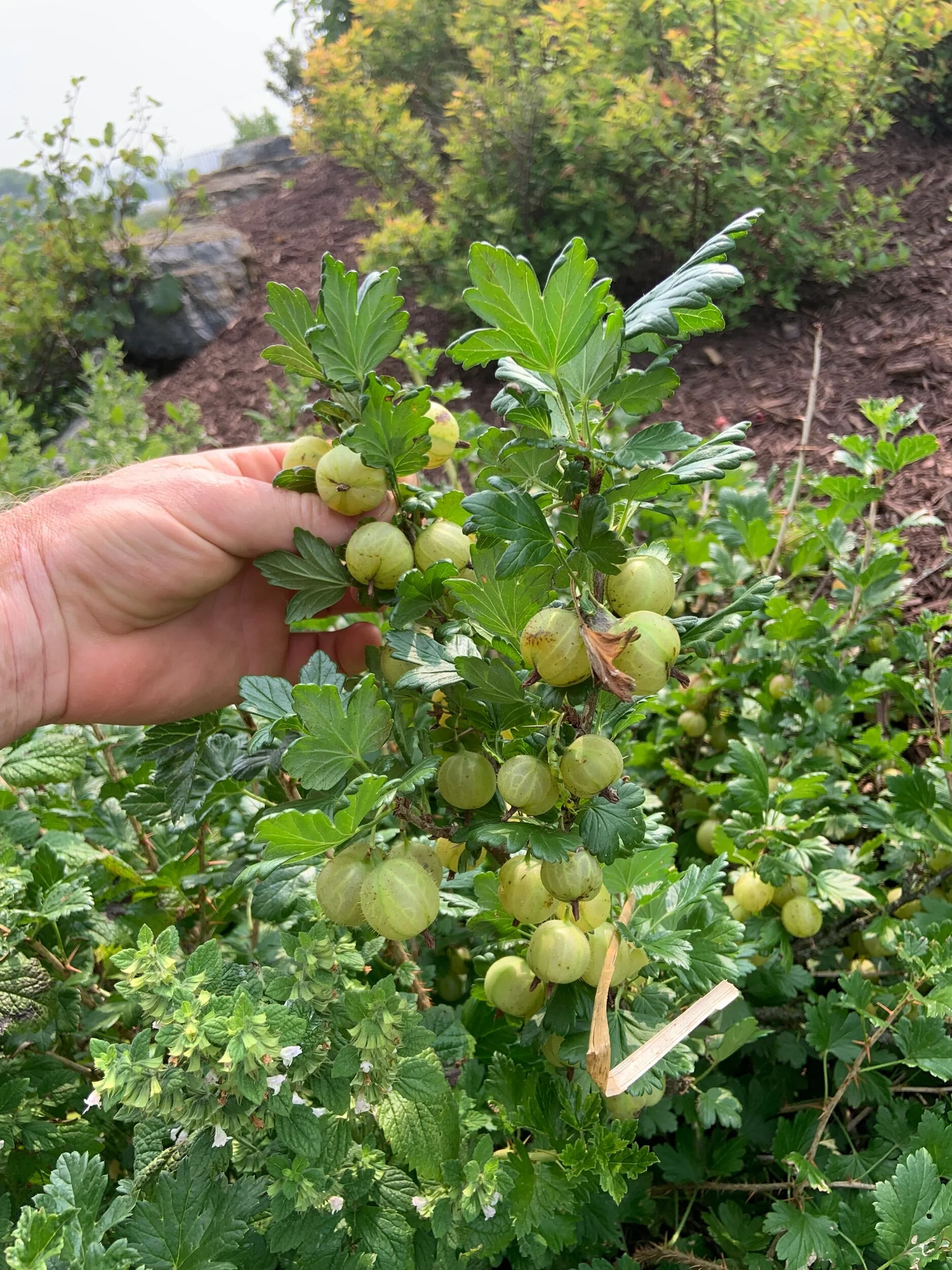 3F45634F-ABA6-454D-8BA9-5266D8986C9E