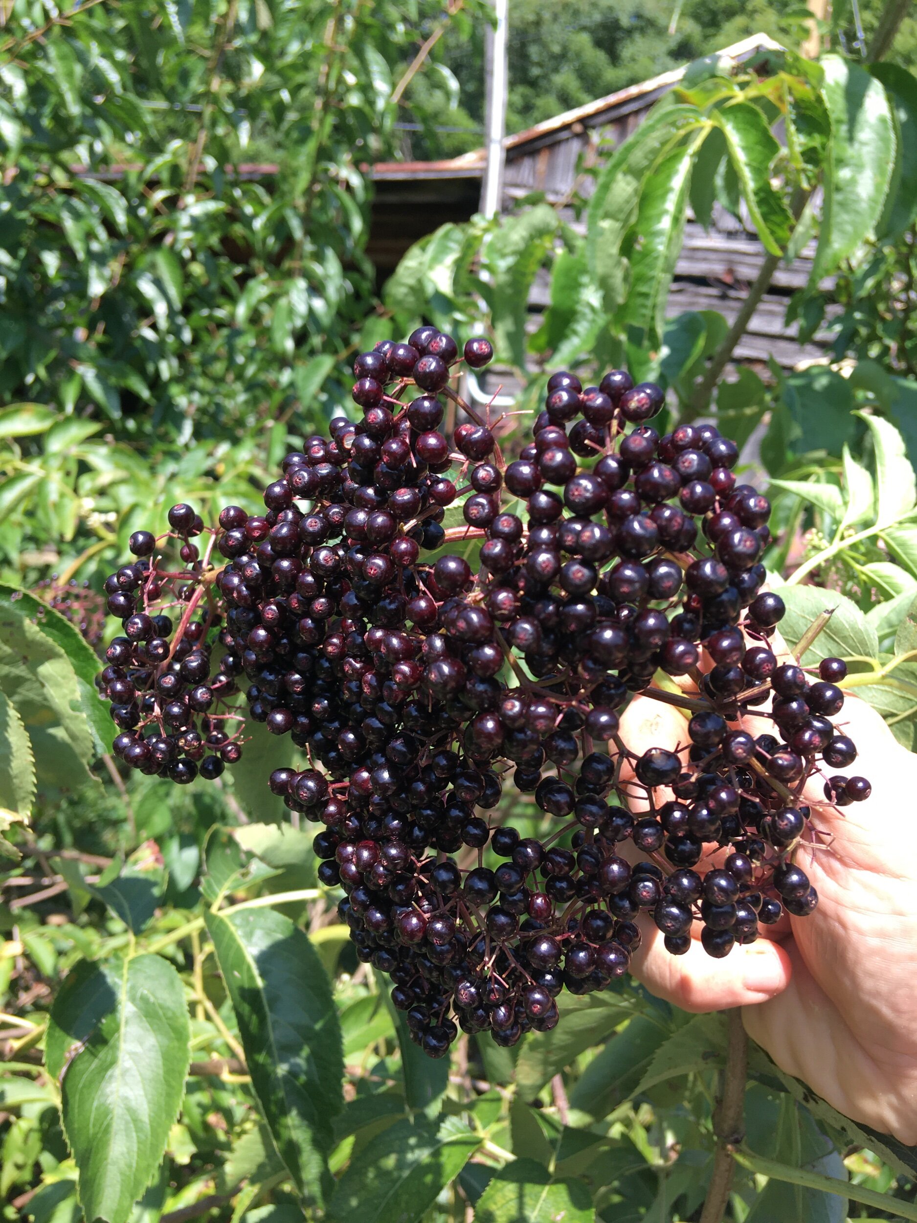 2DADF83E-FDF2-4FE7-ADF2-6141EDCF5C1A