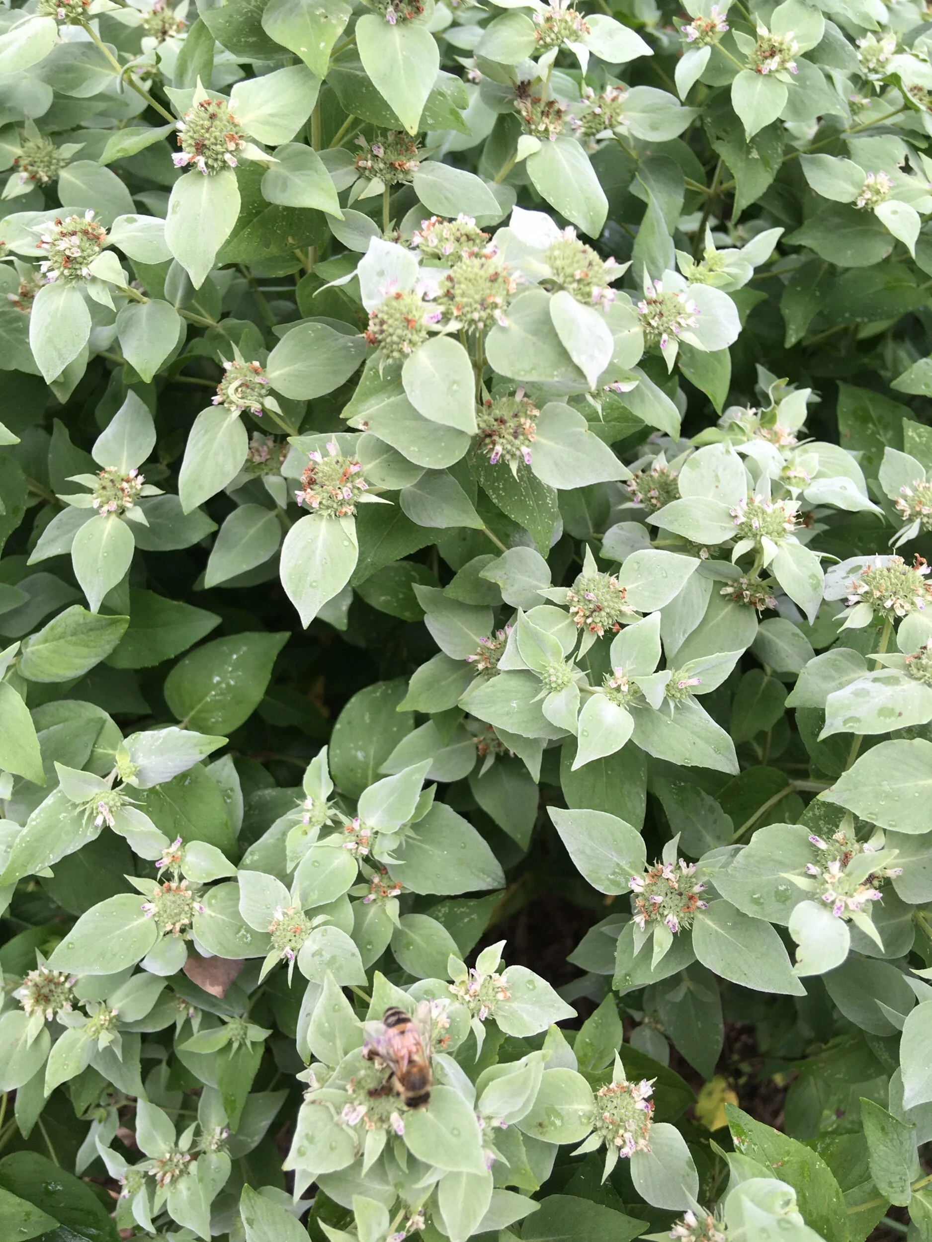 AB04DE20-CC8C-4285-9BCA-F89918F9902C