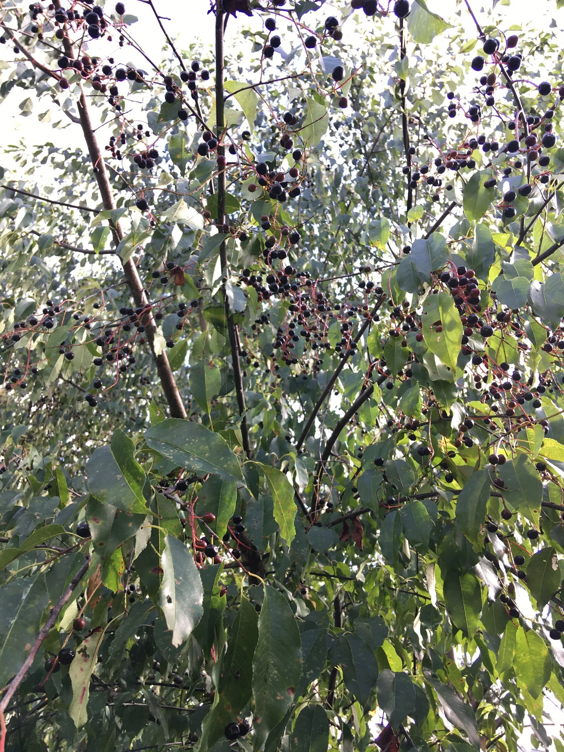 495CC030-7EC0-4380-A841-ED592A127F0D