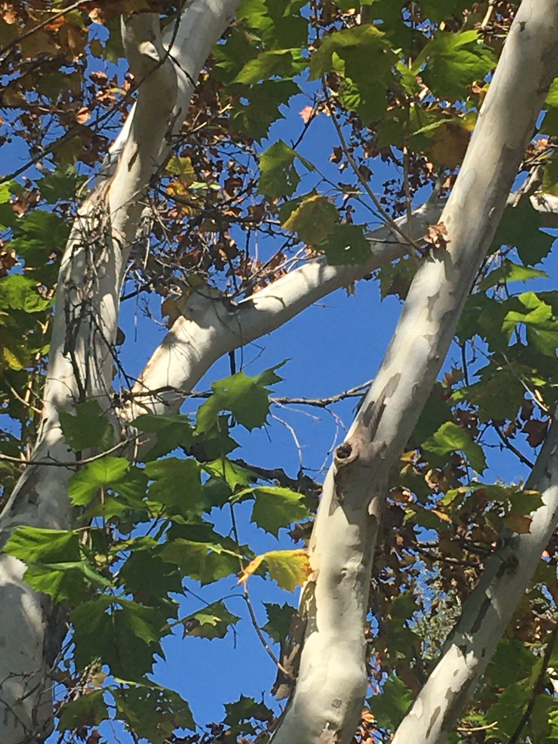 8ED7319D-F3BD-49BC-8BAA-28BC98E2FC1D