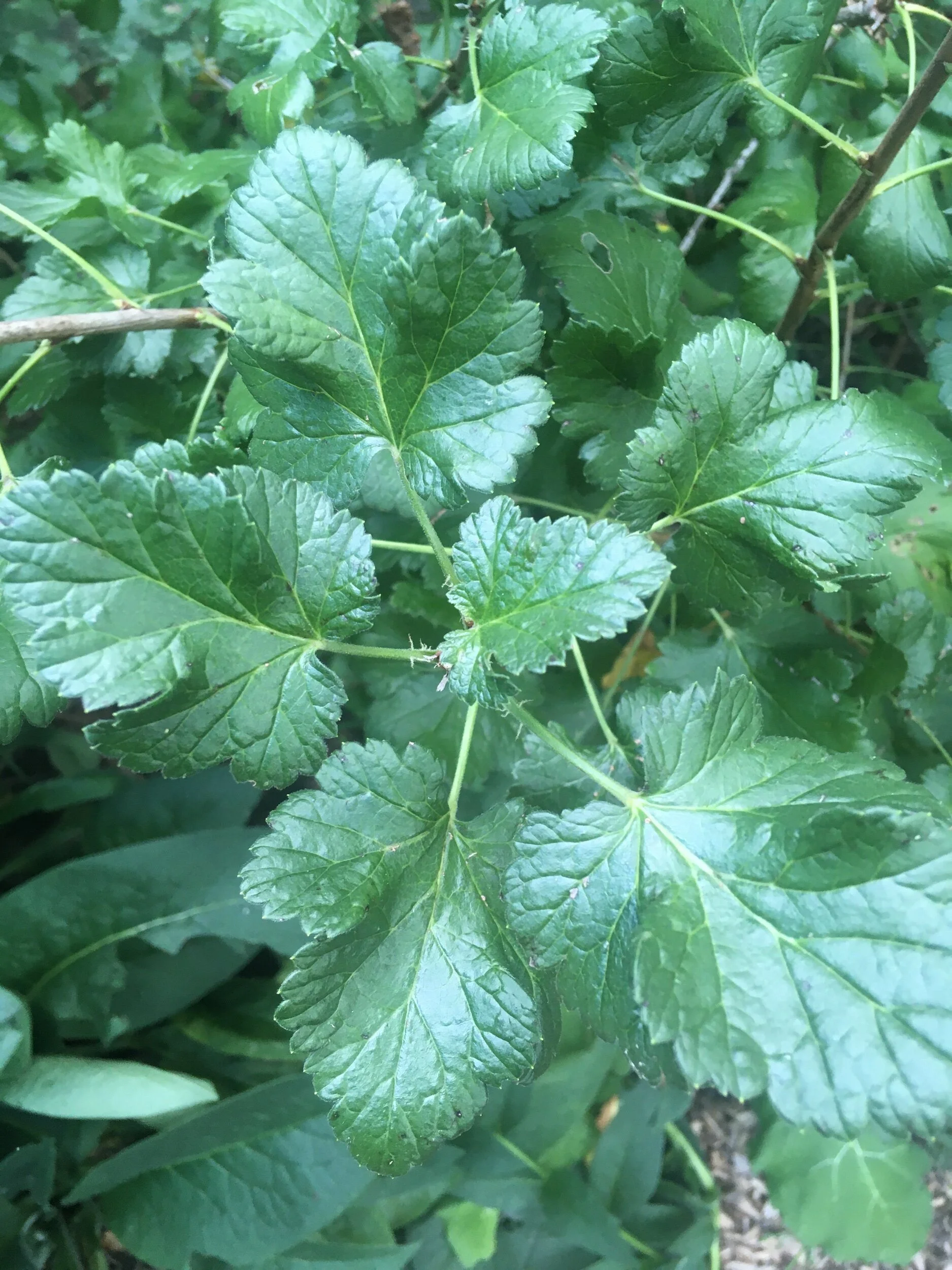 B1A093BE-7ADF-4032-A5A2-3C5CCC510F4E