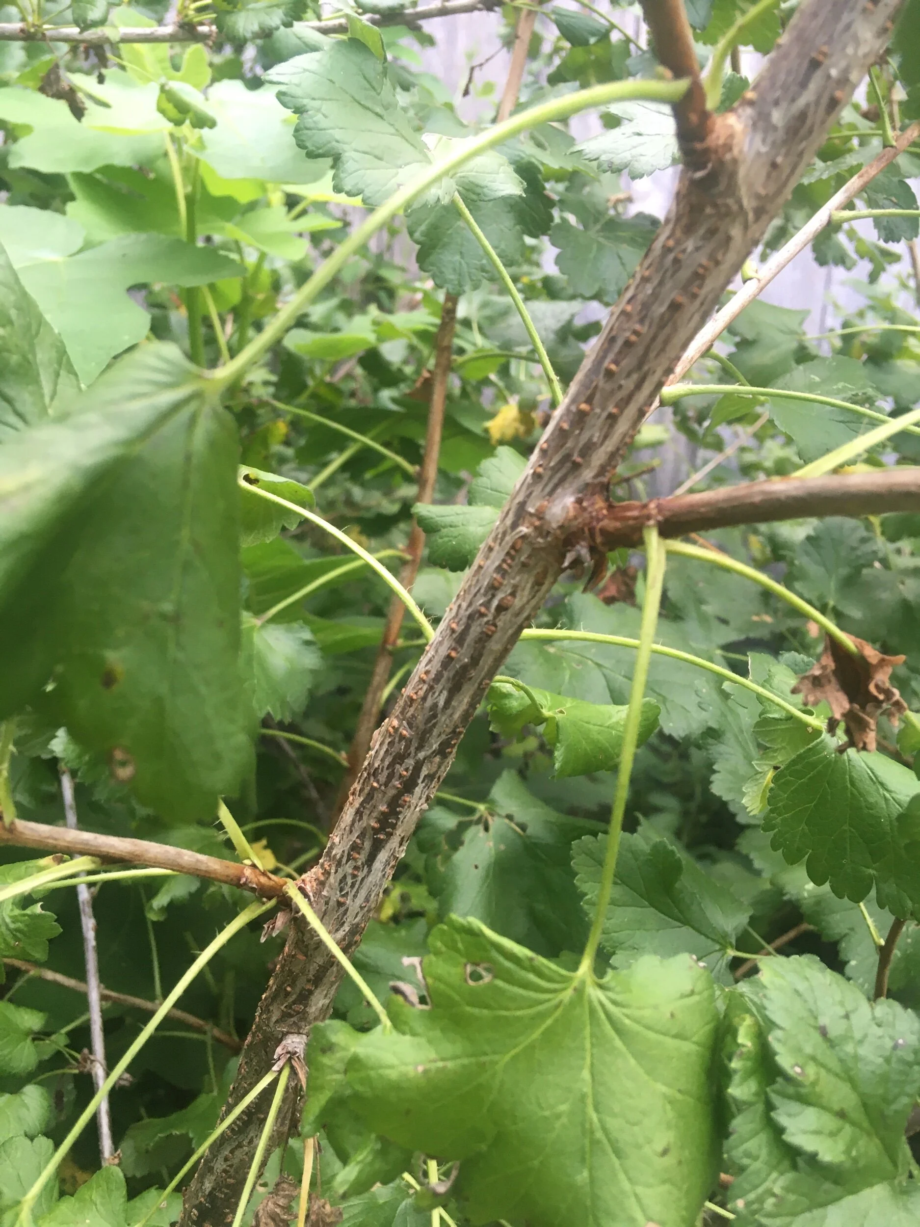 BE368F4F-A8E5-426E-860D-A70DC8F6DC50