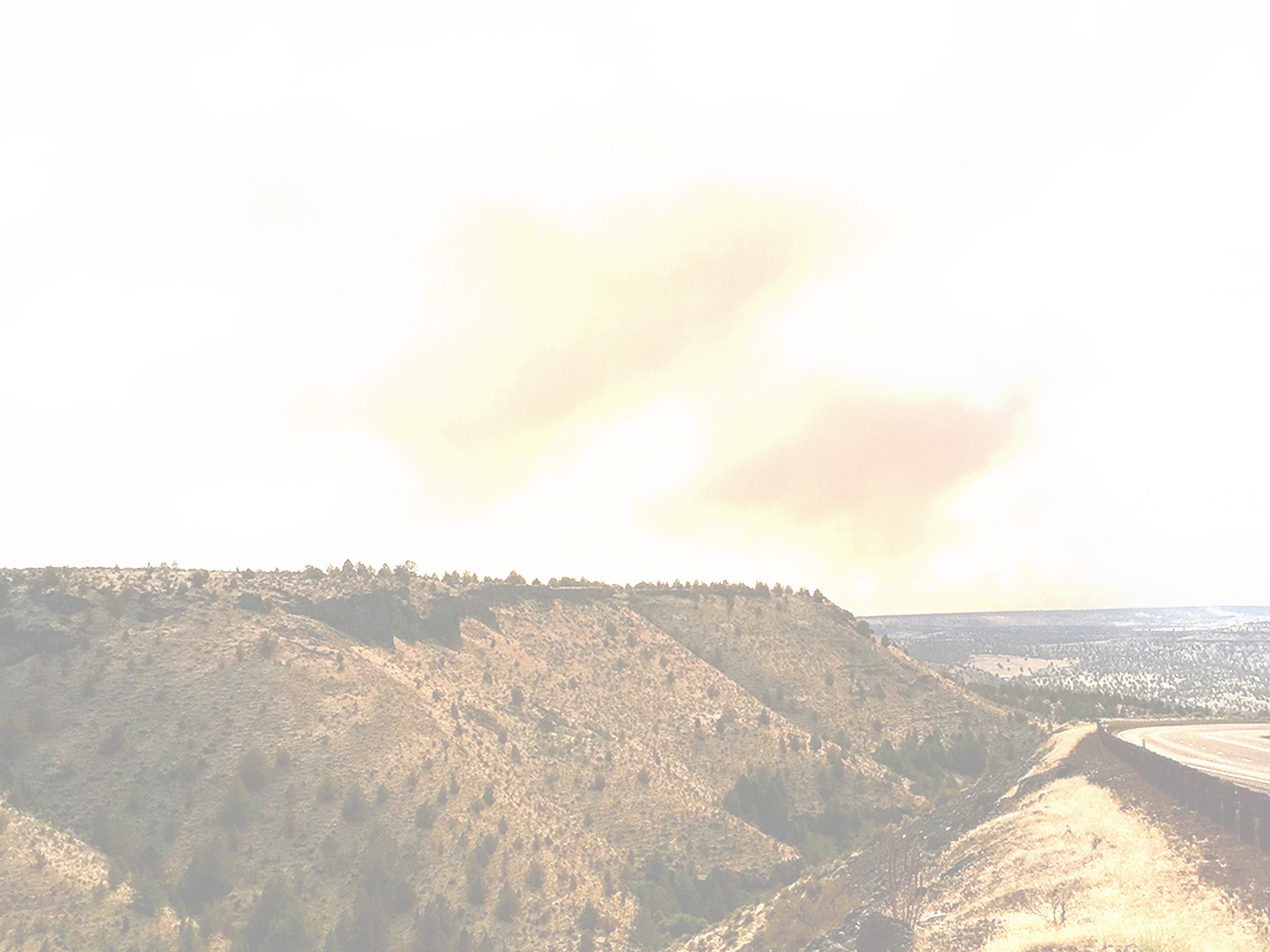  I provide a  free 30-minute consultation  for potential clients.  Let’s talk! 