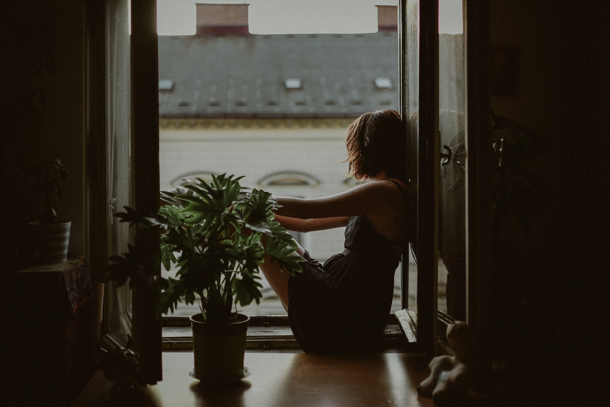 unsplash-image-WENTRcpFYM8.jpg