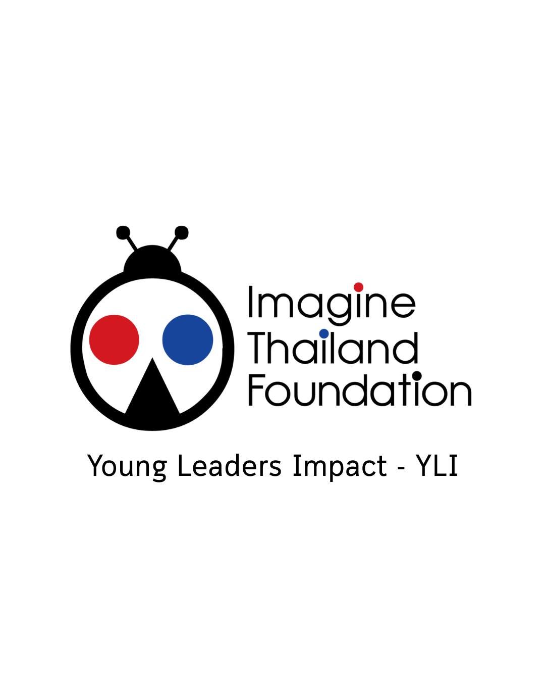 We are thrilled to announce the launch of a new pilot project&mdash;Young Leaders Impact (YLI); a student-led, fully remote branch of Imagine Thailand, coordinated by three passionate students who gained hands-on experience this January in Thailand. 