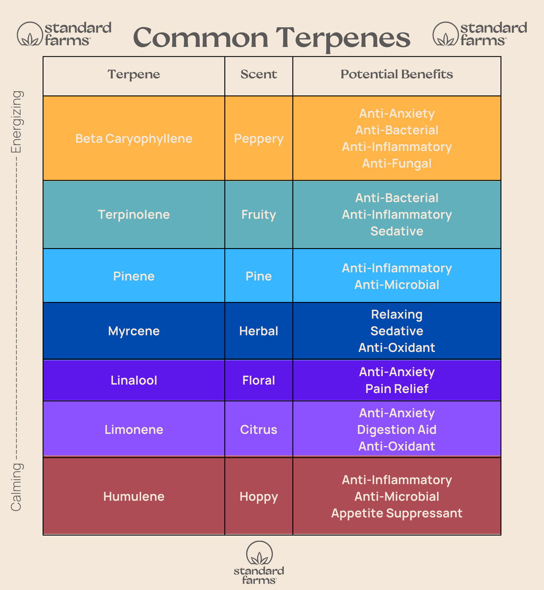 Terpenes Labels Terpenes Chart