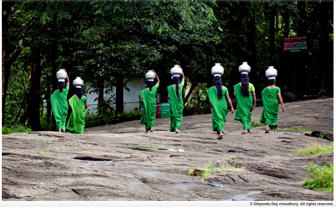From the Smithsonian photo contest. India Credit: Dibyendu Dey choudhury