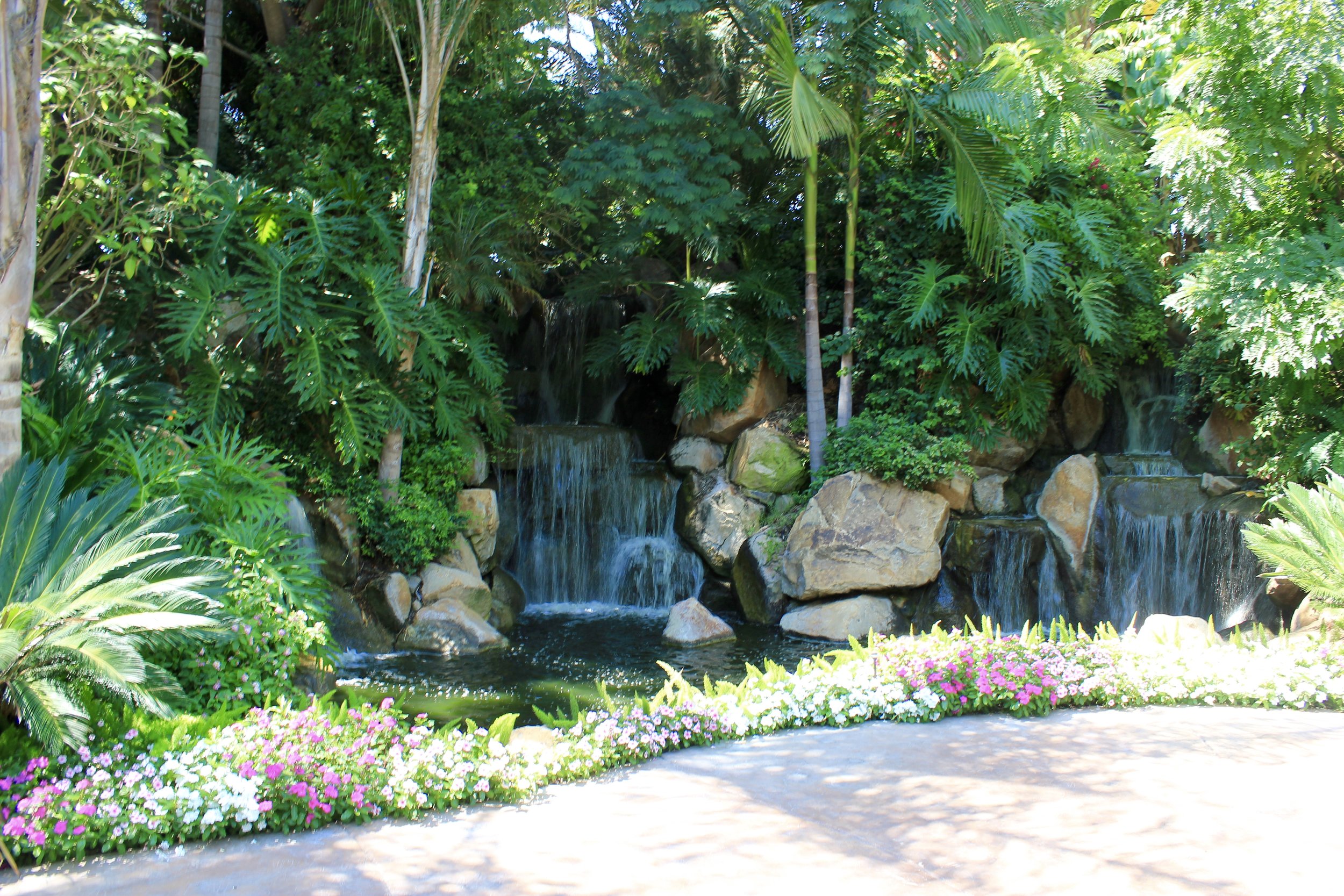 Tropical Gardens