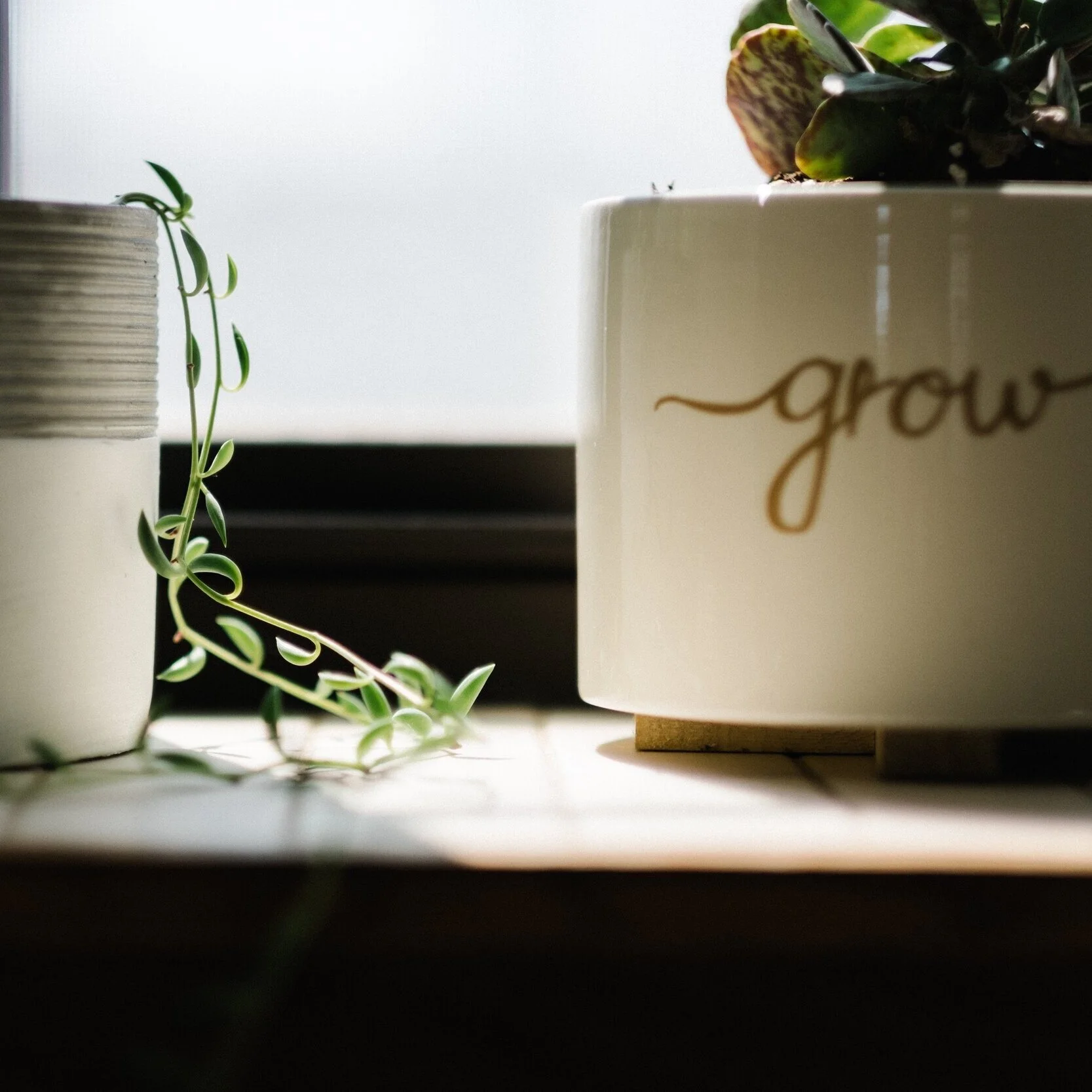 3. You’ll schedule your appointments in Cassandra’s easy online calendar and get started! Your potential transformation is exciting!