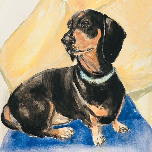 #Ah victor #dashound #dogs #portrait #artoninstagram #watercolour #paintingdogs