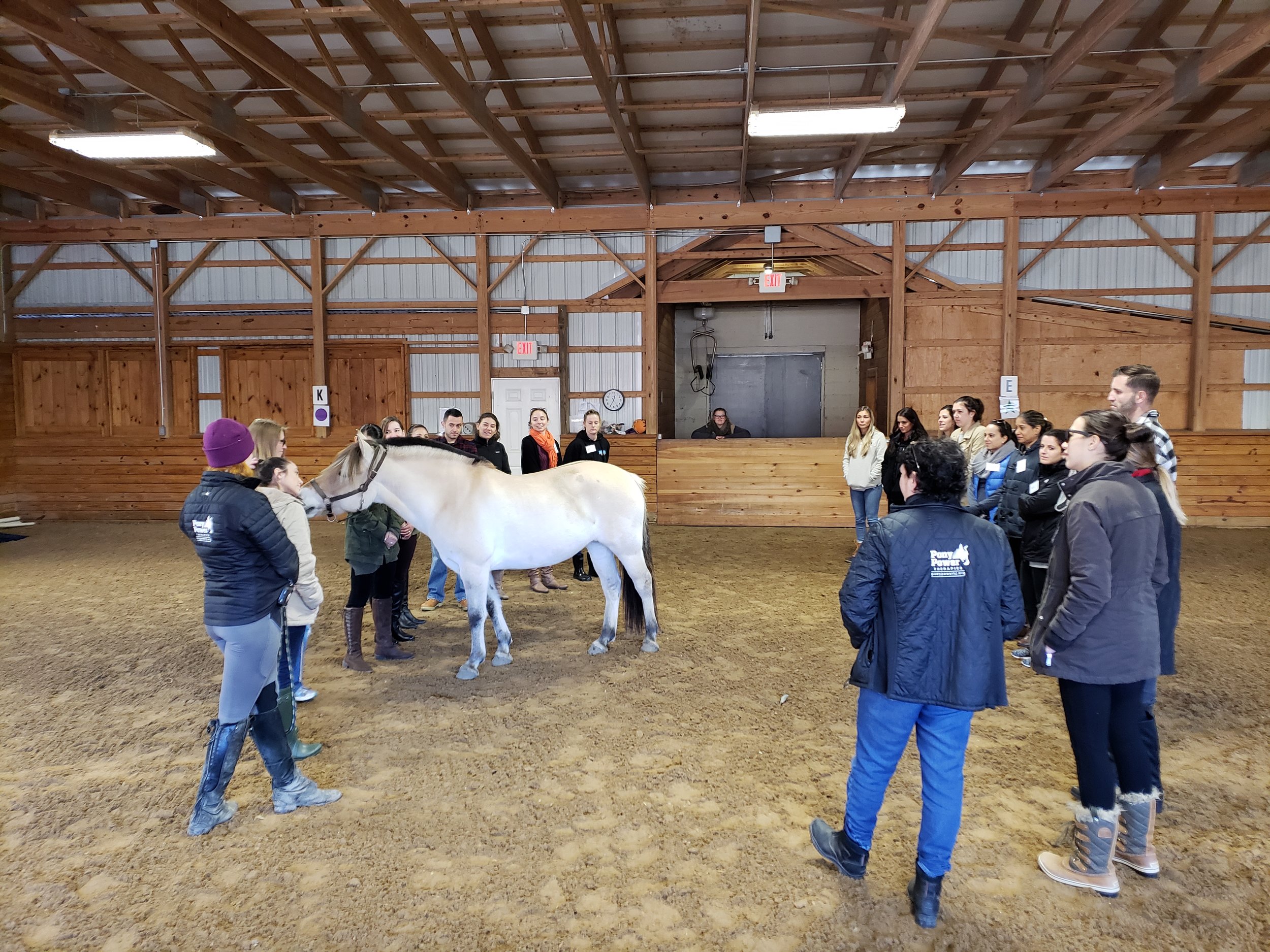 Inserra Supermarkets Team Building Session