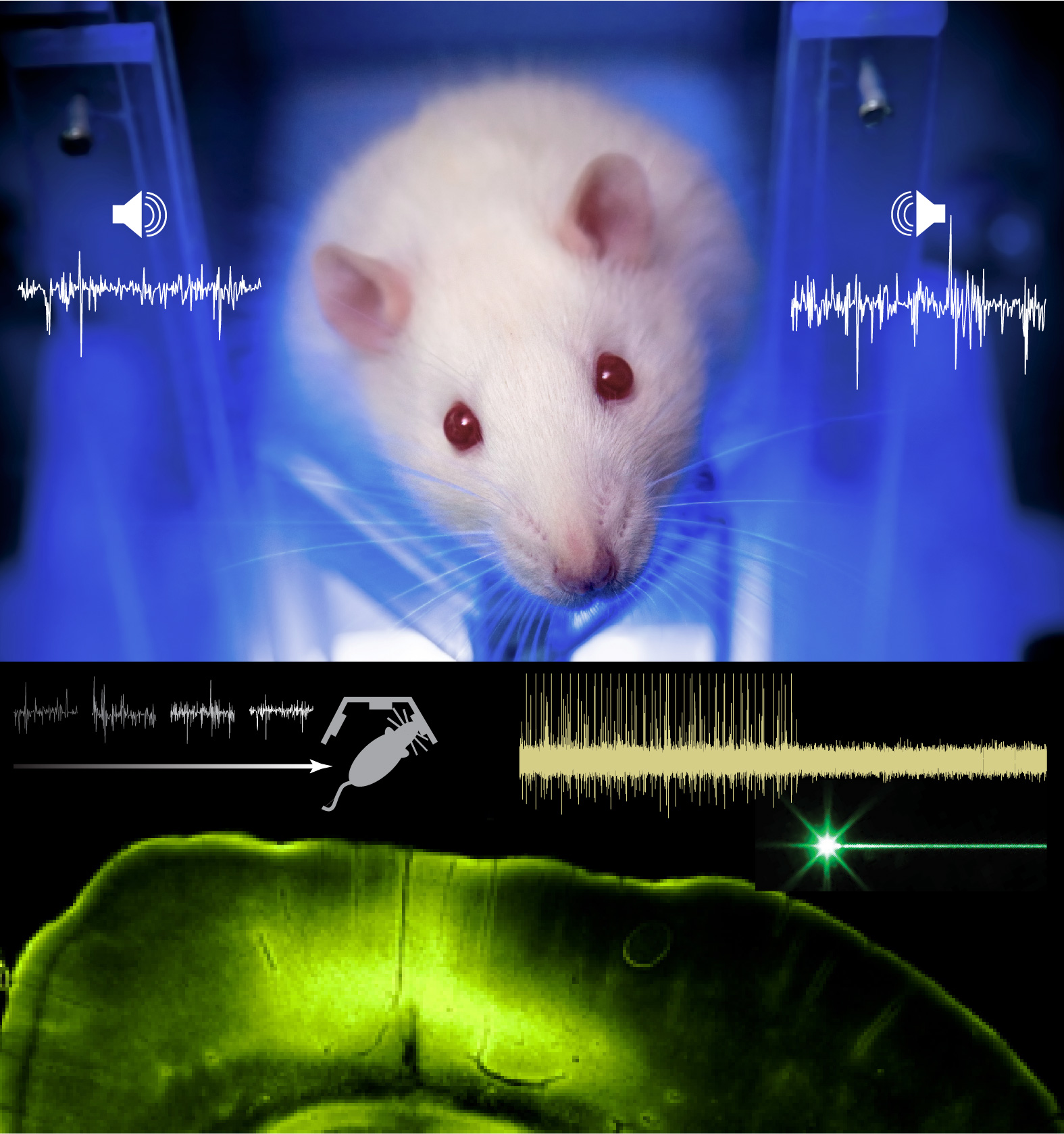 ResearchImage_PWM_noText.jpg