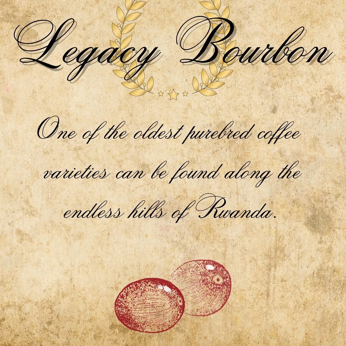 Great coffee deserves a great story! Let us introduce our latest release: &ldquo;Legacy Bourbon&rdquo;.

Did you know most coffee varieties we have today are the result of just 1/60 coffee plants surviving its journey from Yemen to Bourbon Island? Mo