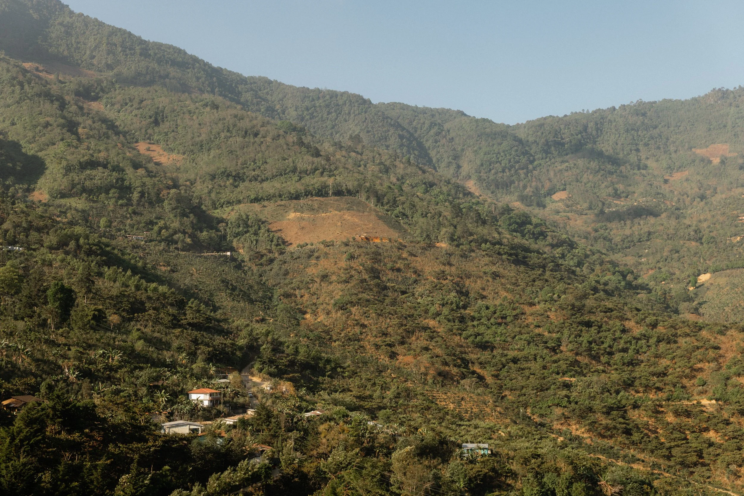 L1110023.jpg