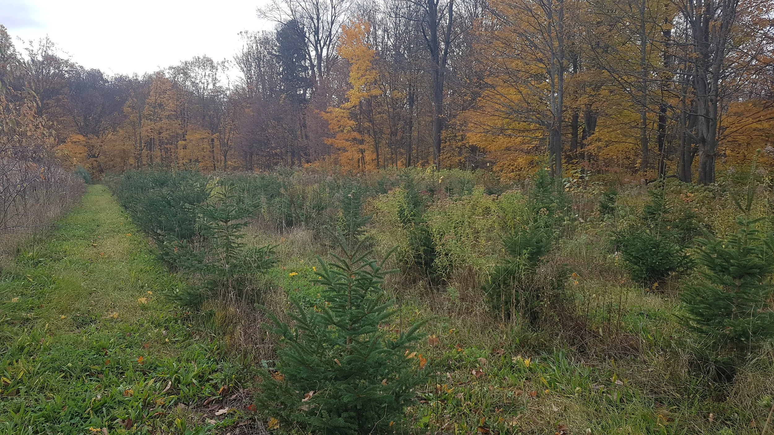 20171025_110340.jpg
