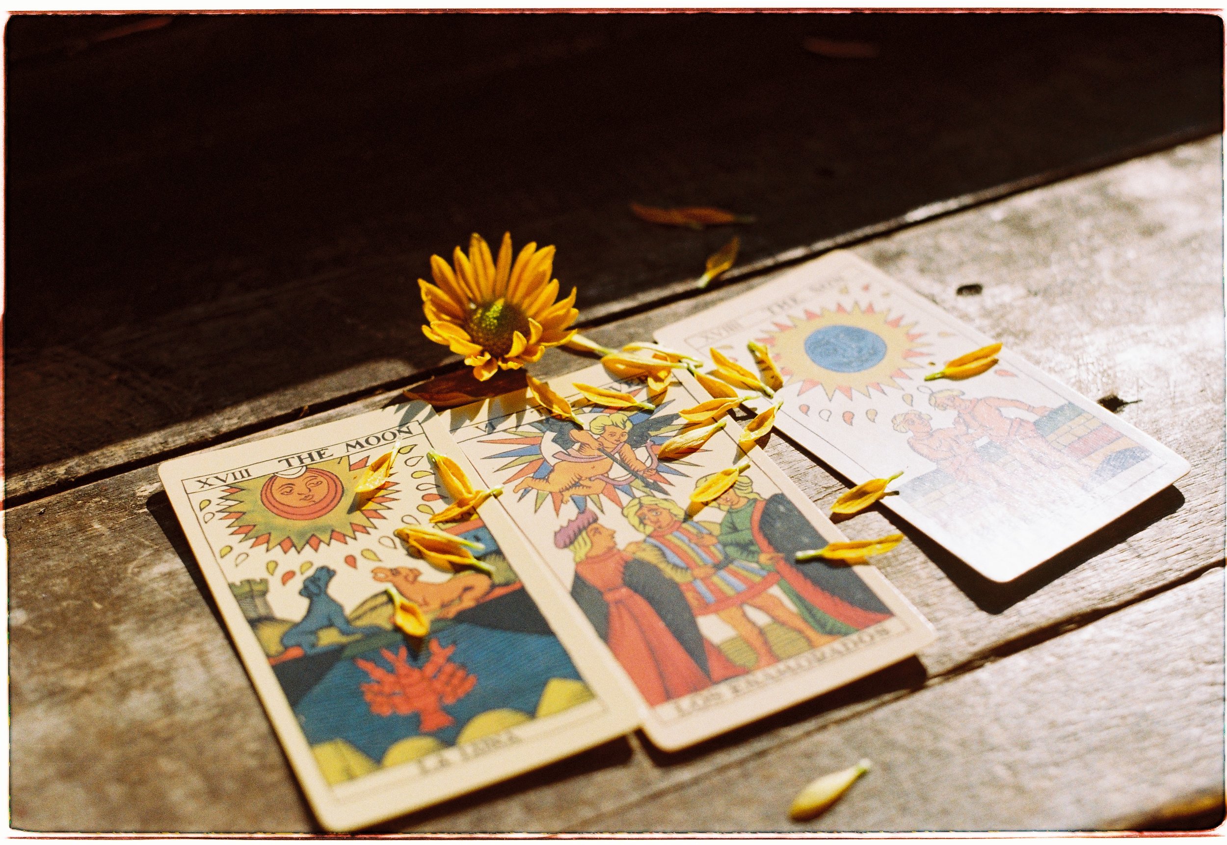 A Beginners Guide to Reading Tarot