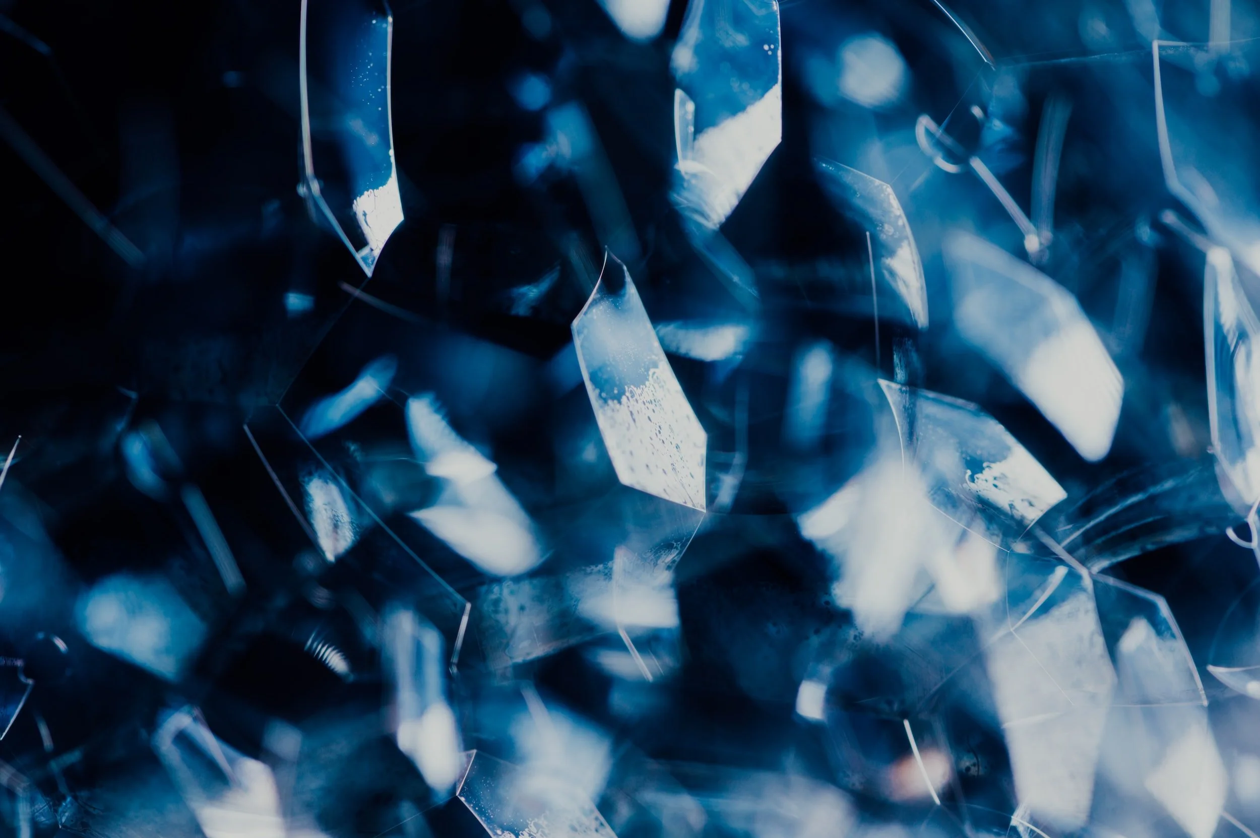 Gazing at the Beauty of the Lord