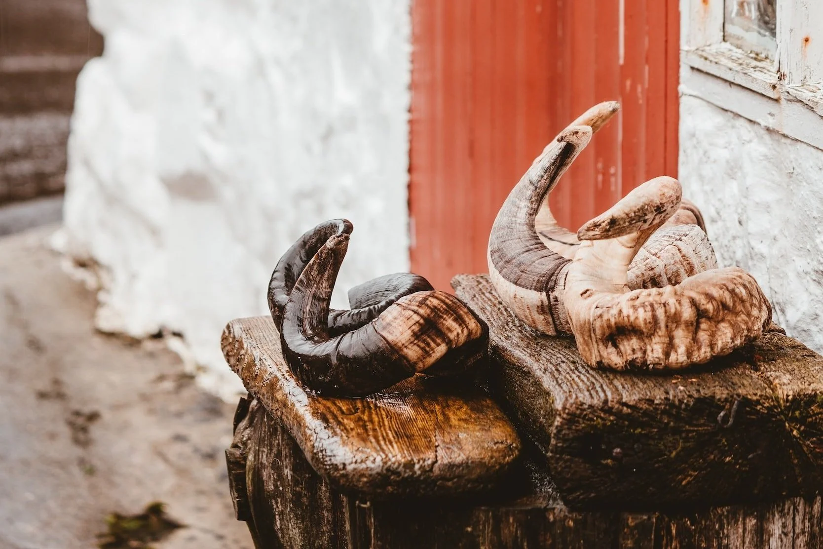 The Clay Flask And The Rams Horn