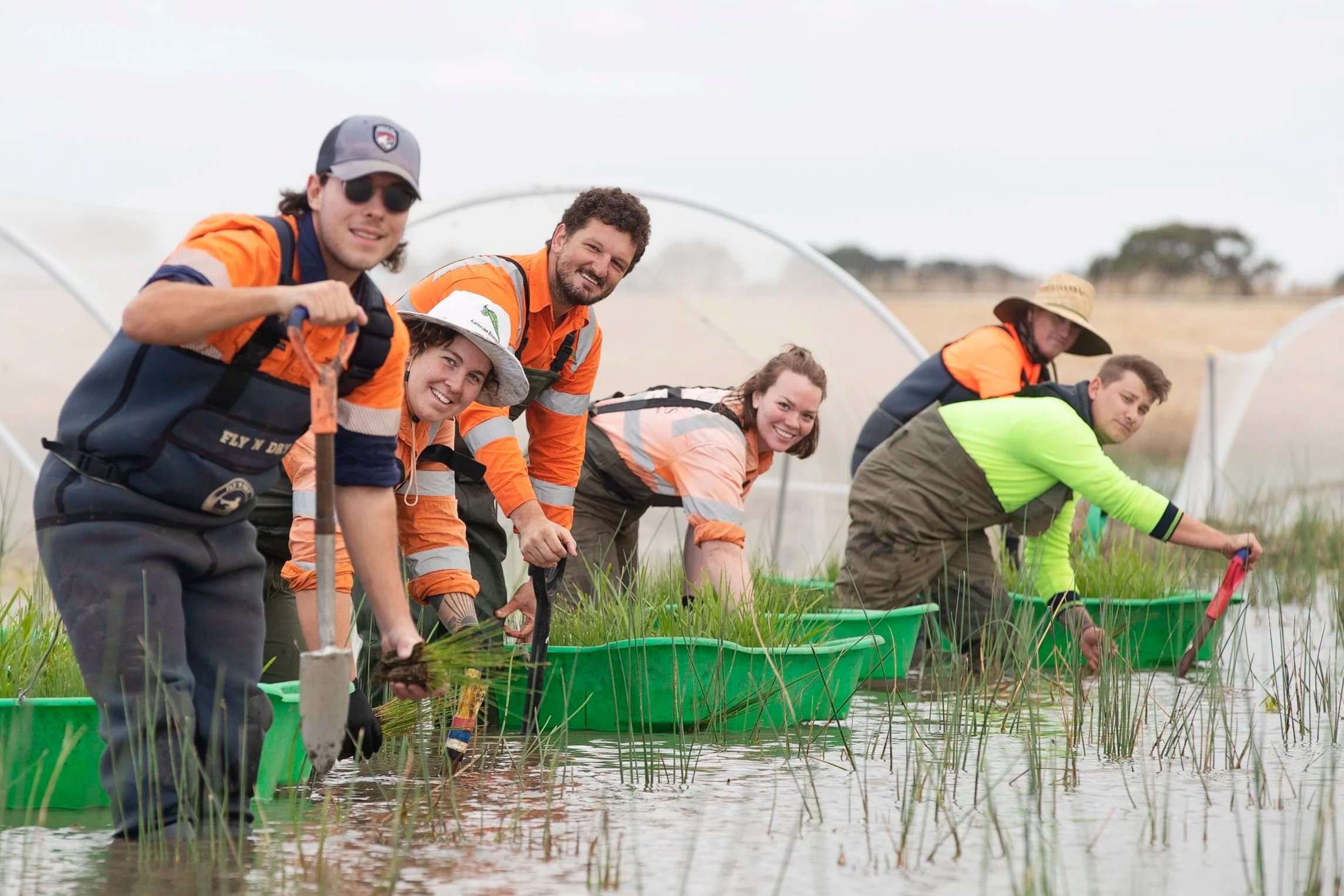 130,000 new plants takes Warralily tally to 1.5 million