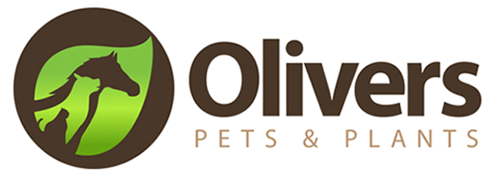 olivers-3.png